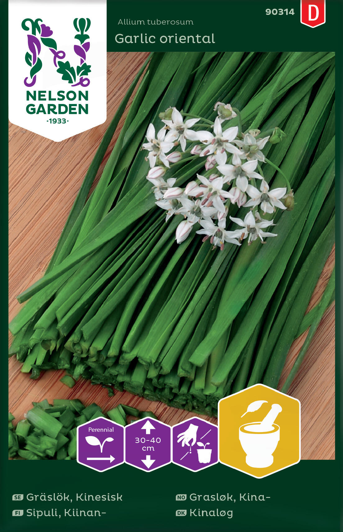 Kina grasløk Garlic oriental